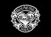 The Bouncing Souls