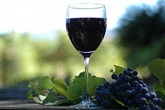 Monterey Wine Festival - Wine Festival in San Francisco.