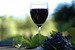 Monterey Wine Festival - Wine Festival in San Francisco