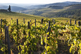 Chianti-region_s165x110