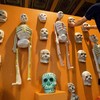 Morbid Curiosity: The Richard Harris Collection - Art Exhibit in Chicago.