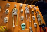 Morbid Curiosity: The Richard Harris Collection - Art Exhibit in Chicago.
