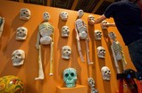 Morbid-curiosity-the-richard-harris-collection_s159