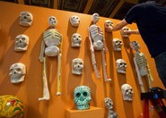 Morbid Curiosity: The Richard Harris Collection - Art Exhibit in Chicago.