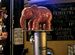 Delirium Tremens tap at Paddy Long's