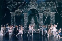 Marin Center (San Rafael, CA) - Concert Venue | Performing Arts Center in San Francisco.