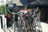 The-den-of-hollywood_s165x110