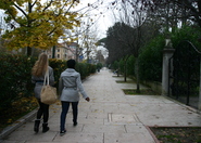 Lido, Venice.