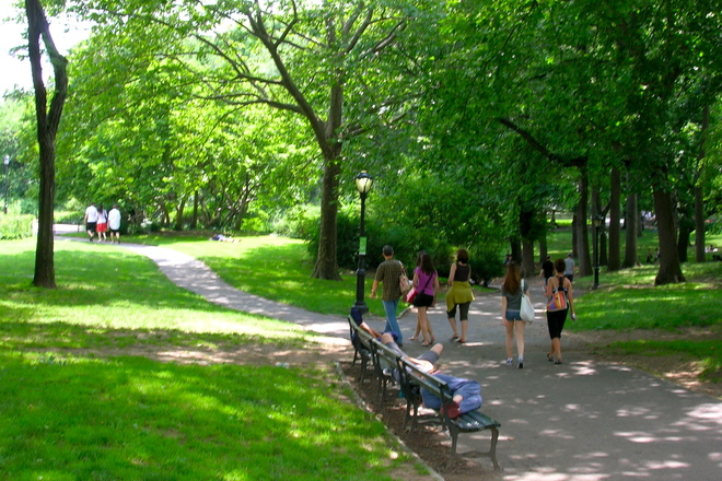 Photo of Central Park