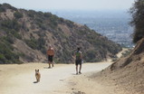 Runyon-canyon_s159