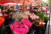 Place Rossetti - Outdoor Activity | Square in French Riviera