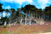 Baker-beach_s165x110