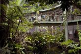 Nightlife-at-the-california-academy-of-sciences_s165x110