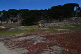 Baker-beach_s165x110