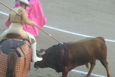 Bullfights-at-las-ventas_s165x110