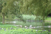 Regents-park_s165x110