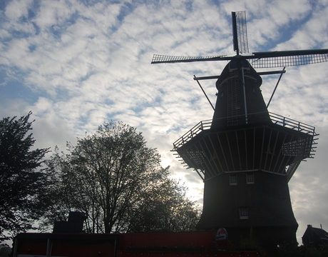 East / East Docks, Amsterdam.