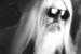 Leon Russell