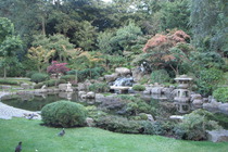 Holland Park - Outdoor Activity | Park in London.