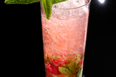 Bacardi-mojito-lab_s165x110