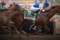 Preakness-stakes_s210x140