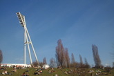 Mauerpark-flea-market_s165x110