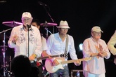 The-beach-boys_s165x110