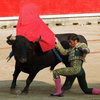 © www.pamplona.net