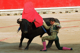 San Fermin Bullfights - Bull Fighting in Pamplona: The Running of the Bulls.