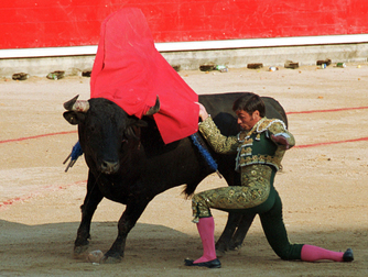 Bullfights - Bull Fighting in Pamplona: The Running of the Bulls.
