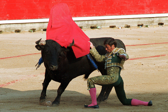 San Fermin Bullfights - Bull Fighting in Pamplona: The Running of the Bulls.