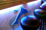The-dolphins_s159