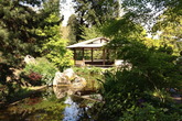 L'Orto Botanico (Botanical Gardens) - Museum | Park in Rome.