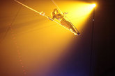 Crece-12-circus-project_s165x110