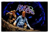 Bingo-players_s165x110