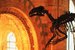 Natural History Museum, London - Museum in London.