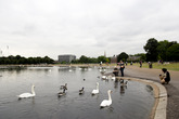 Hyde-park_s165x110