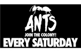 Ants at Ushuaïa - Club Night | DJ Event | Party in Ibiza.