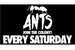 Ants at Ushuaïa - Club Night | DJ Event | Party in Ibiza.