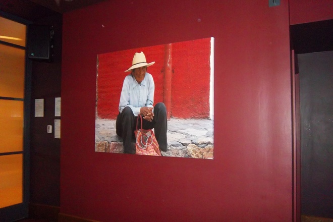 Photo of Tico