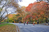 New-york_s159