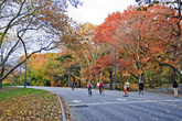 New-york_s165x110