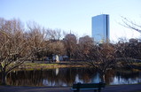 Boston-esplanade_s159