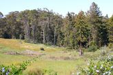 The-presidio_s165x110