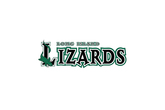 Long-island-lizards-lacrosse_s165x110