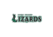 Long Island Lizards