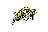 Navy-midshipmen-football_s165x110