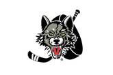 Wolves-hockey_s165x110