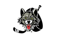 Chicago Wolves