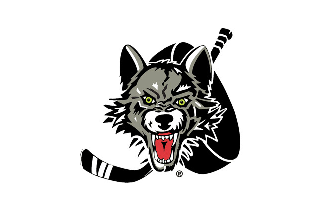 Photo of Houston Aeros vs. Chicago Wolves